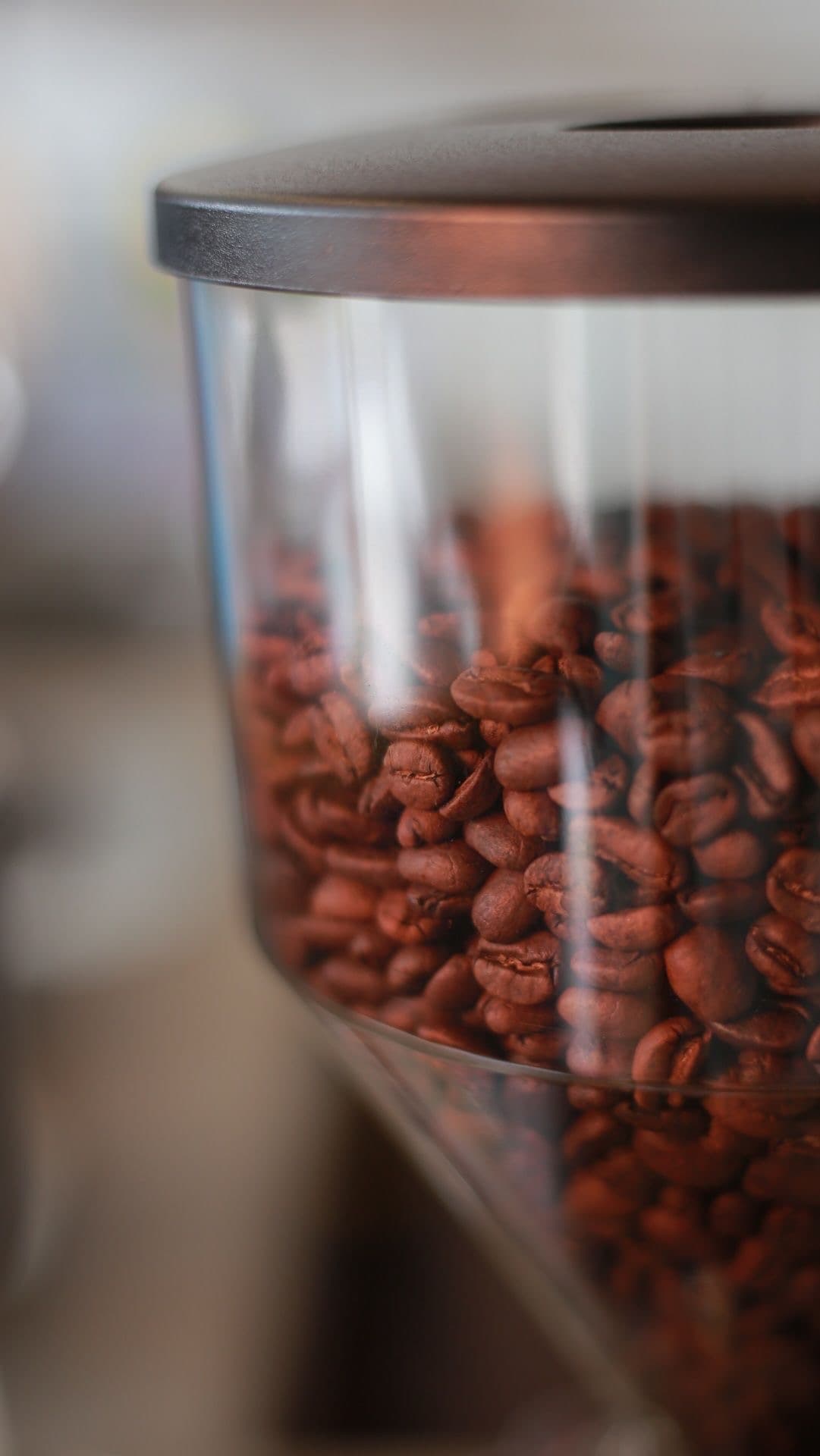Coffee beans close up