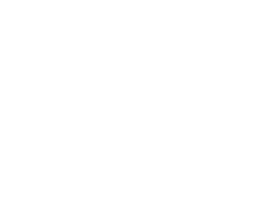 VZN Media